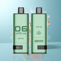 Schweiz Großhandel LAVIE Cube 20000 Züge Minze Eis Salz Nikotin 5% 28ML Typ C