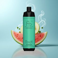 Schweiz Großhandel RandM Fumot Shisha 10000 Züge Wassermelone Honigmelone Passionsfrucht Minze Typ-C 18ml 850mAh 0,6ohm Mesh Coil 0,5% Nikotin LED
