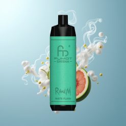 Schweiz Großhandel RandM Fumot Shisha 10000 Züge Weißblitz LED Typ-C 18ml 0,6ohm Mesh 850mAh 0,5% Nikotin