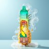 Schweiz Großhandel RandM Fumot Tornado 15000 Puffs Ananas Eis LCD Mesh Coil Typ-C