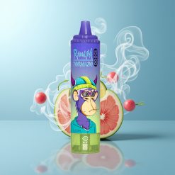 Schweiz Großhandel RandM Fumot Tornado 15000 Puffs Vimto Fumot 25ml 850mAh Mesh Coil Typ-C LCD