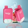 Schweiz Großhandel VapSolo Twins 20000 Puffs 40ml Erdbeer-Wassermelone & Gummibärchen Typ-C 2-Tank