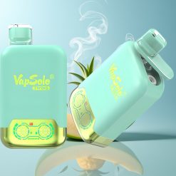 Schweiz Großhandel VapSolo Twins 20000 Puffs Dreifach Melone & Ananas Kokosnuss 40ml Doppeltank Typ-C