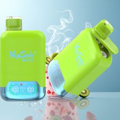 Schweiz Großhandel VapSolo Twins 20000 Puffs Erdbeere Kiwi & Erdbeere Himbeere Kirsch Eis 40ml 2 Öltanks Typ-C