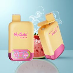 Schweiz Großhandel VapSolo Twins 20000 Puffs Wassermelone Eis & Erdbeer Mango Doppel-Tank Typ-C