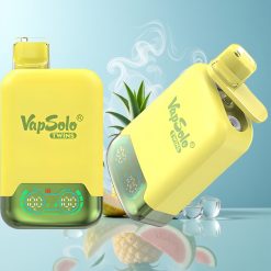 Schweiz Großhandel VapSolo Twins 20000 Züge 40ml Ananas Kokos & Wassermelone Eis Typ-C 2 Tanks