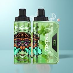 Schweiz Großhandel VapSolo VIKING 12000 Züge Frische Minze Typ-C 22ml 20/50 mg/ml LED Display