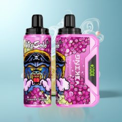 Schweiz Großhandel VapSolo VIKING 12000 Züge Sommer Traum 22ml Typ-C LED Anzeige 20/50 mg/ml