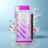 Schweiz Großhandel VOZOL Gear Power 20000 Puffs Kirschbeere Eis Dual Mesh Coil 20mL 5%