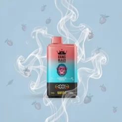 Schweiz Großhandel BANGKING DSK042 50000 Züge Dual Profile Einweg Vape